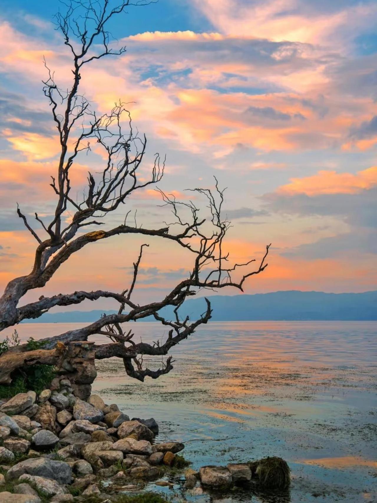 Dali Nest Secret Garden Lake View Inn 외부 사진