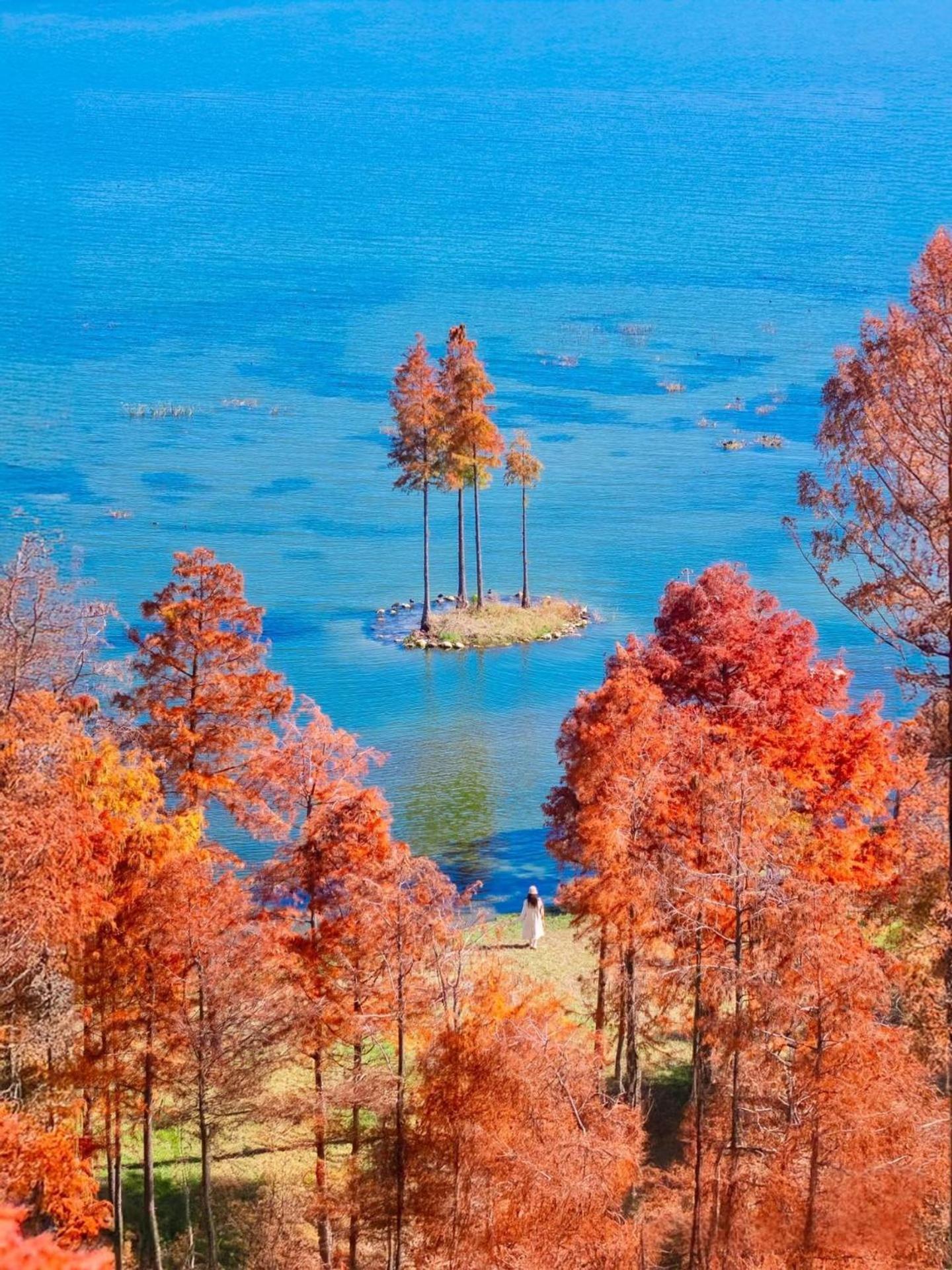 Dali Nest Secret Garden Lake View Inn 외부 사진